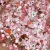 Rose Coeurs